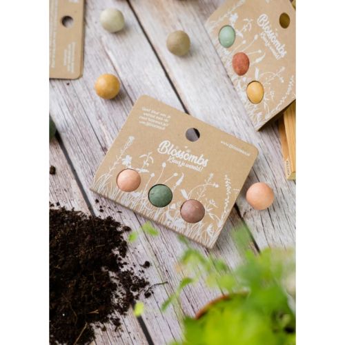 Giveaway | 3 seed bombs - Image 3